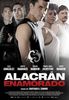 Alacr�n enamorado